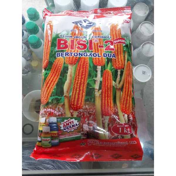 Benih jagung hibrida Bisi 2