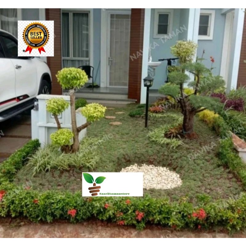 Paket Bikin Taman Minimalis - Jasa Taman Minimalis