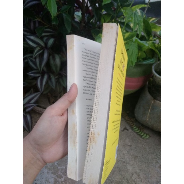 Crazy Rich Asian / Crazy Rich girlfriend by Kevin kwan