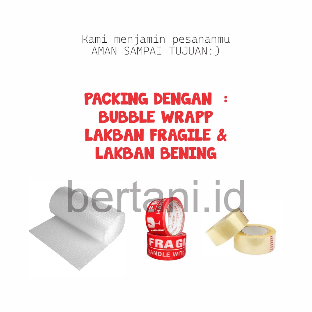 OBAT PENGHILANG LUMUT 1L+250ML