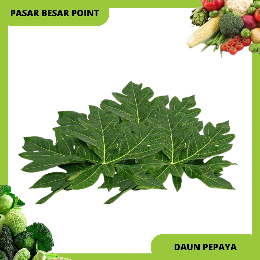 

daun kates