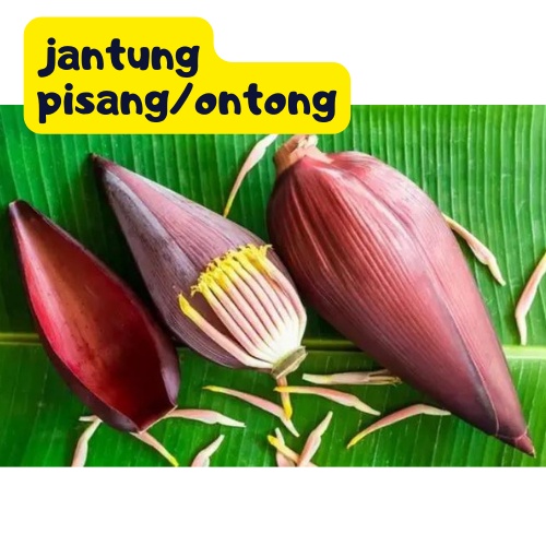 Jantung Pisang Segar 1Buah