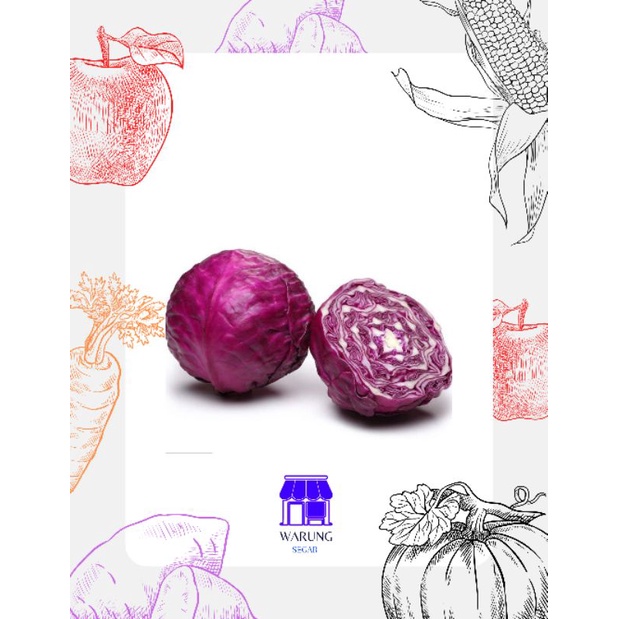 

KUBIS MERAH / KUBIS UNGU / KOL UNGU