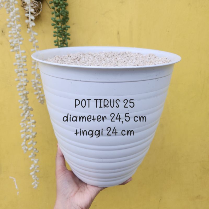 Pot Pirus 25 Besar / Pot Putih terpasang Busa dan [Batu +semen]