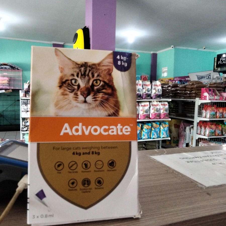 obat tetes kutu kucing advocate 1 box 4 - 8 kg isi 3 tube advocate