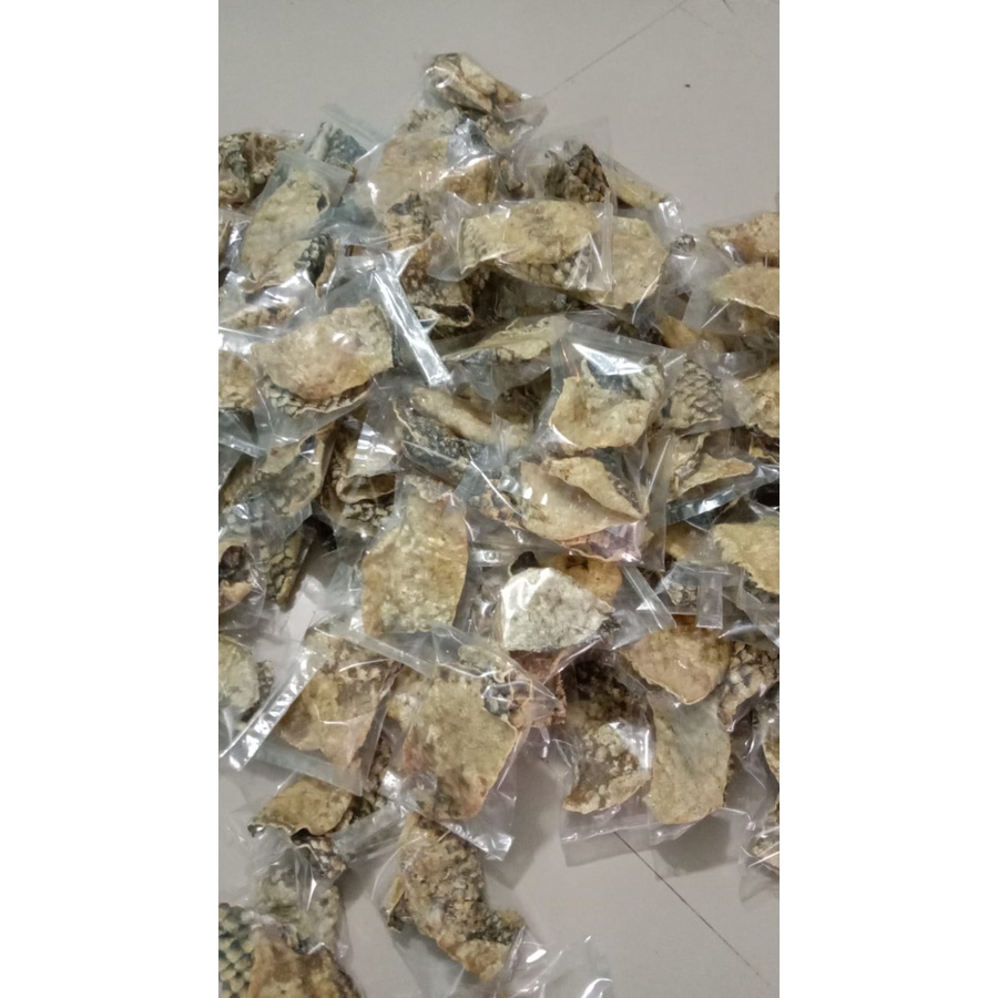 

KRUPUK KULIT IKAN