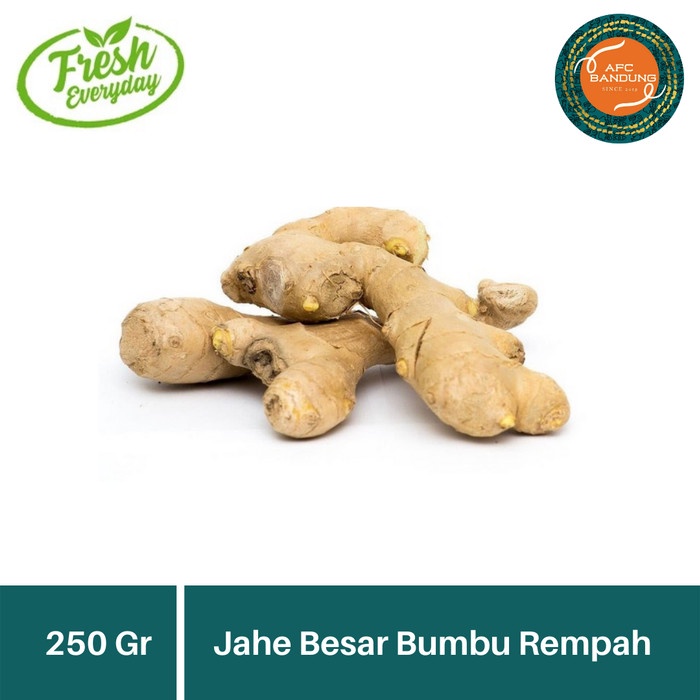 

Terlaris ✨ - Jahe Besar Rempah Bumbu Dapur Sayur Fresh 500gr 2.1.23