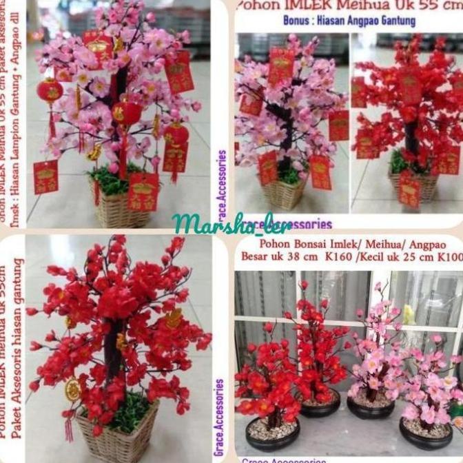 

POHON IMLEK MEIHUA ANGPAO SAKURA RG64654T
