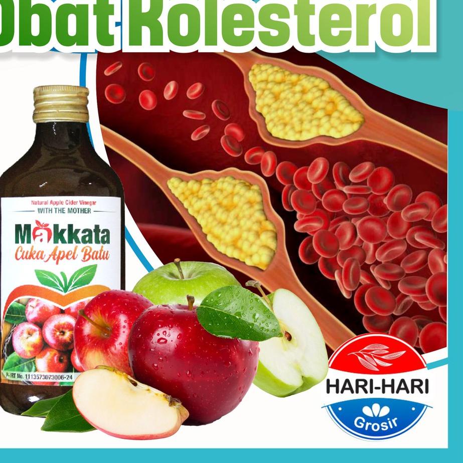 

Limited | KF7 | CUKA APEL BATU MALANG OBAT KOLESTEROL AMPUH Obat Kolesterol Herbal Obat Darah Tinggi Herbal ALAMI