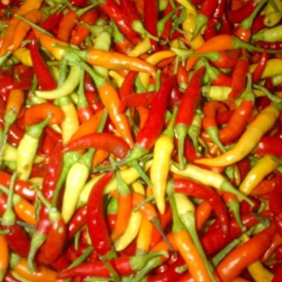 

Sale[HJ]-Cabe Rawit 1 Kg