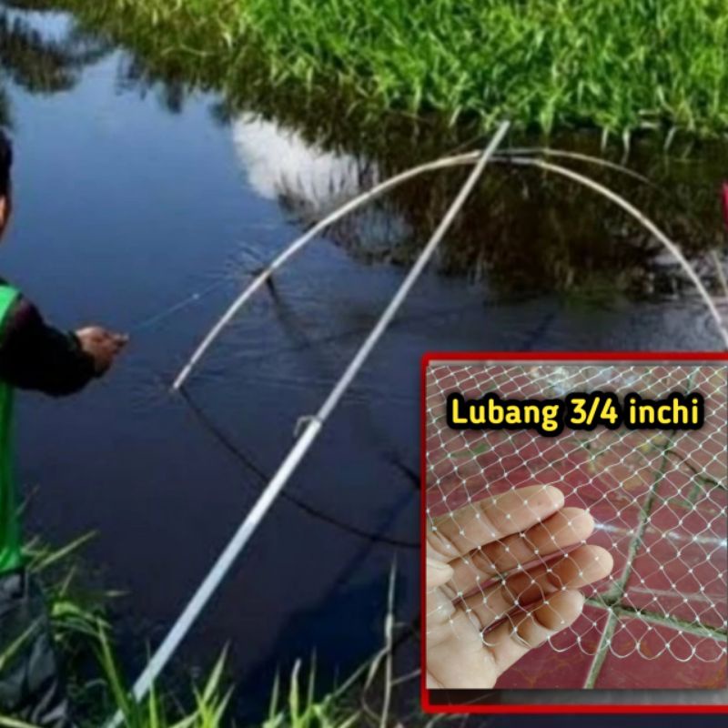 Anco ikan wader & udang / Jaring anco udang senar tebal 0,28 mm