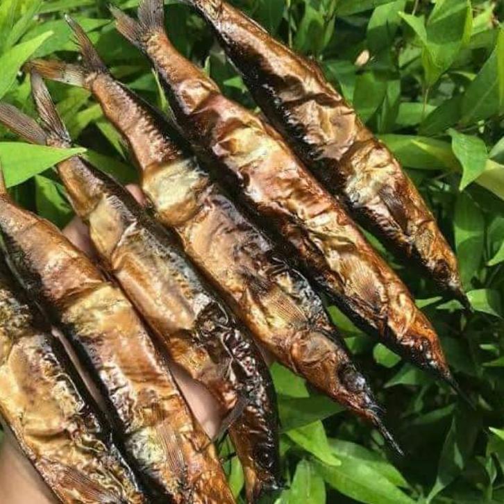 

NEW | KJ5|ikan roa 1 gp 20 ikan