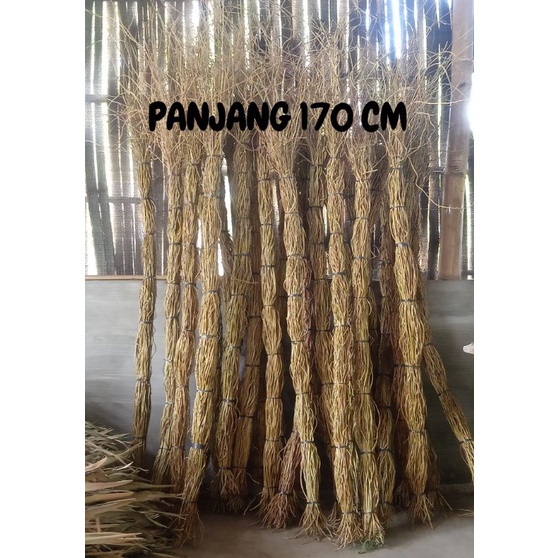 AKAR MANON ISI 100 BATANG PANJANG 170 CM AKAR MANON UNTUK DEKORASI BUNGA KERING DEKORASI