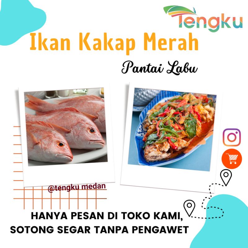 

Ikan Kakap Merah Segar Pantai Labu 1 Kg
