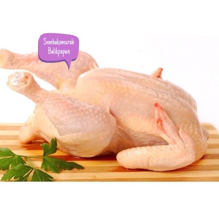

Ayam Segar Terjamin Bukan Frozen Bisa Request Potongan