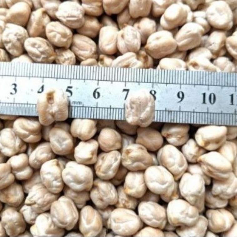 

Laris Kacang Arab / Humus Premium Mentah 1kg CB0