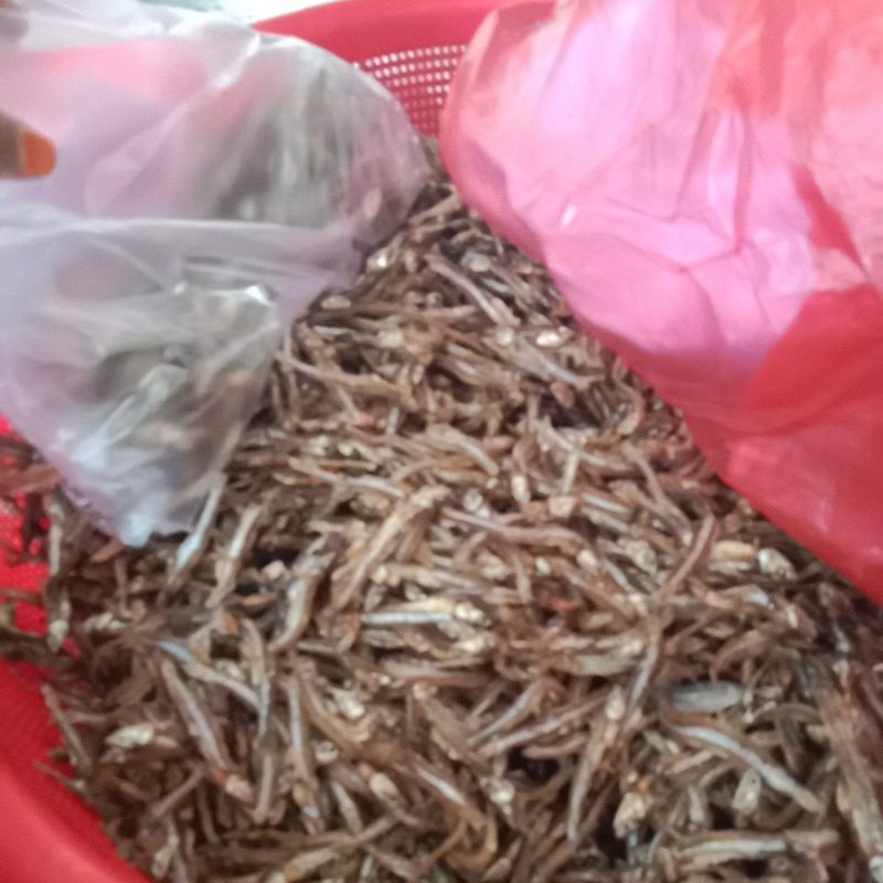 

ikan teri kering 1 kg