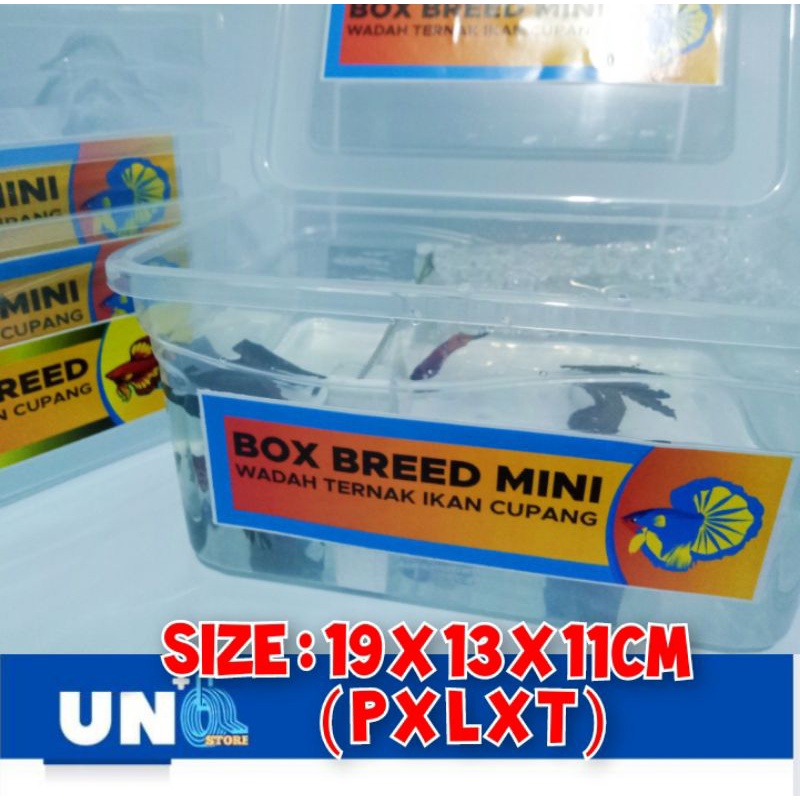 MINI BOX BREED WADAH TERNAK PENJODOHAN IKAN CUPANG