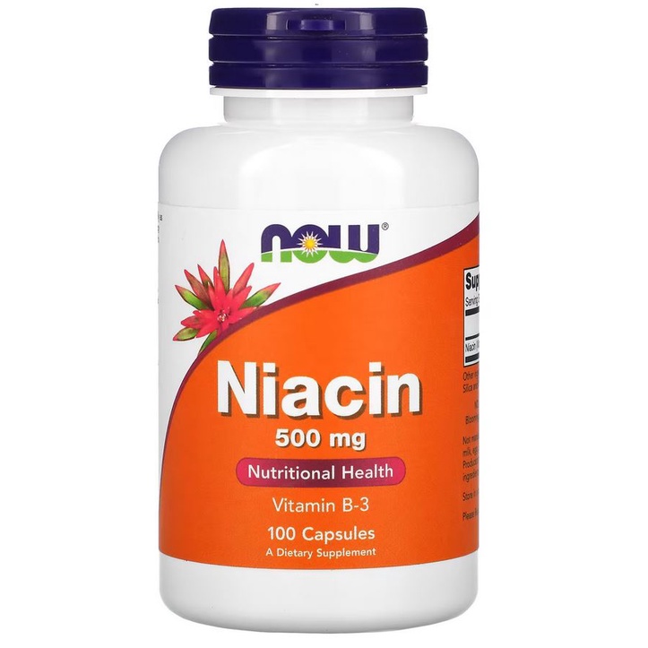 Now Food Niacin 500 mg 100 Capsules Vitamin B-3 Jaga Kesehatan Kolesterol ORI USA Niacin