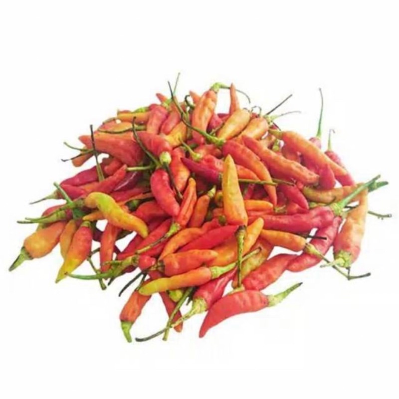 

Cabai Rawit Paket 5 Ribu