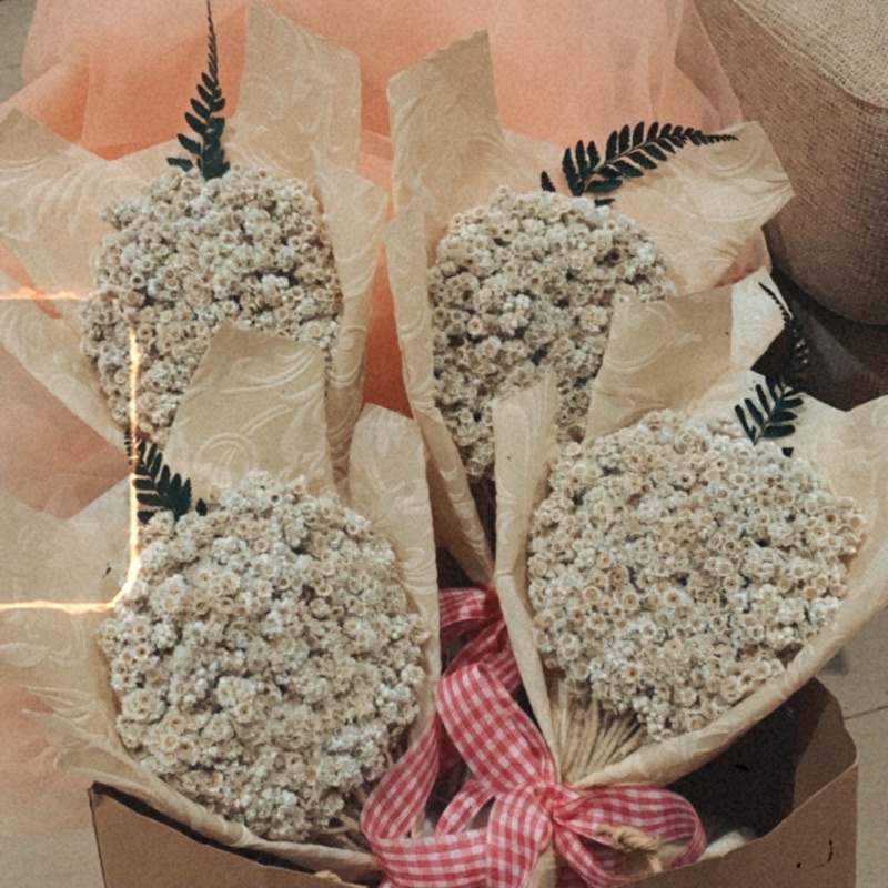 

BUKET BUNGA BUNGA KERING DRIED FLOWERS