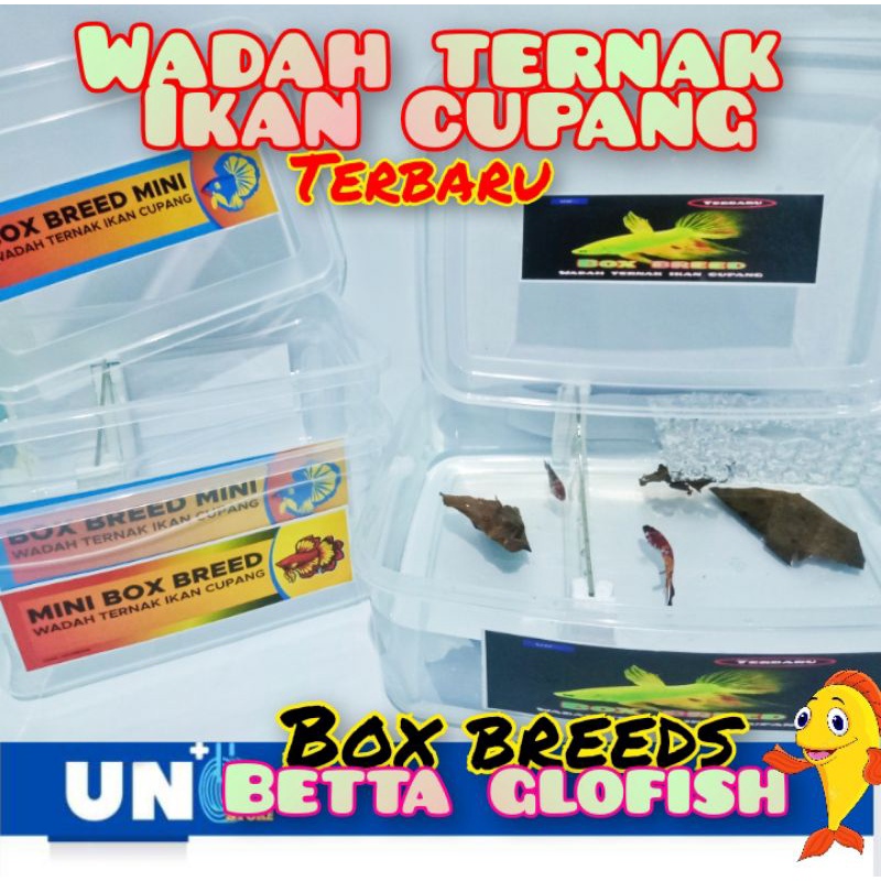 MINI BOX BREED WADAH TERNAK PENJODOHAN IKAN CUPANG