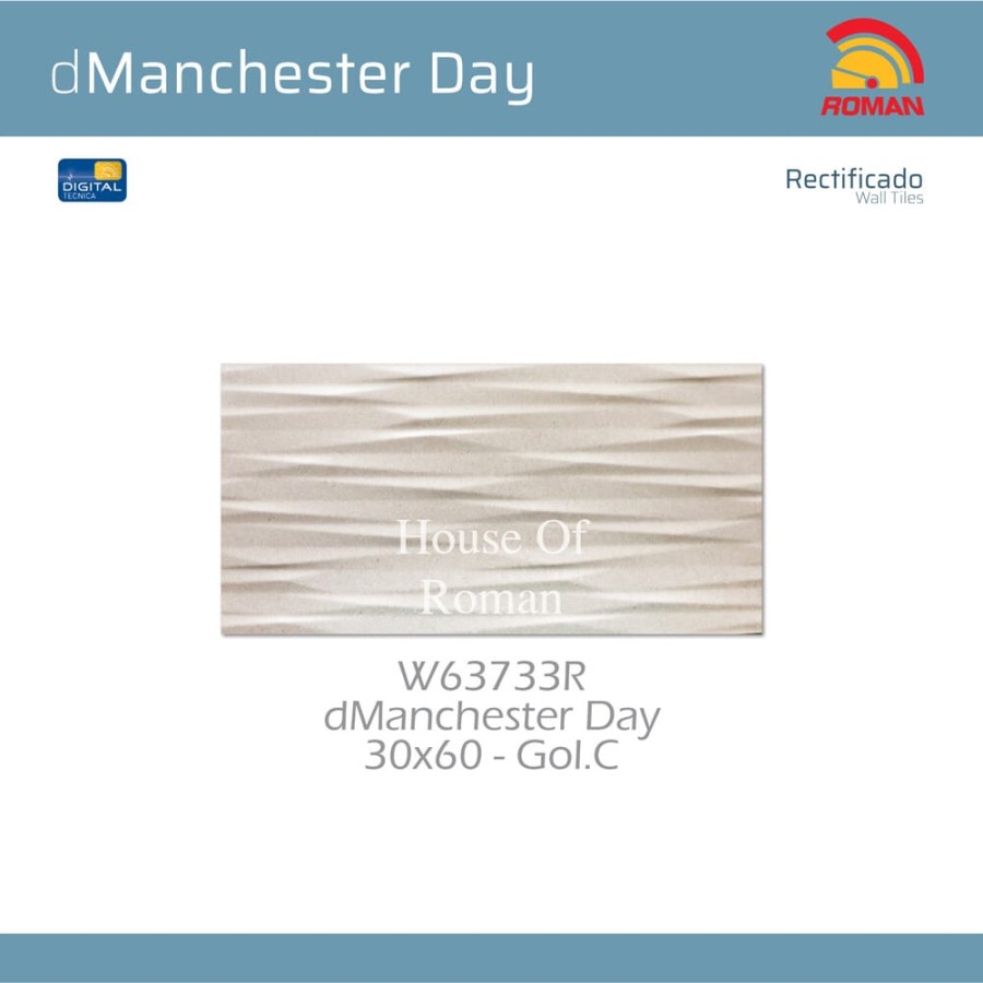 ROMAN KERAMIK DMANCHESTER DAY 30X60R W63733R (ROMAN HOUSE OF ROMAN)