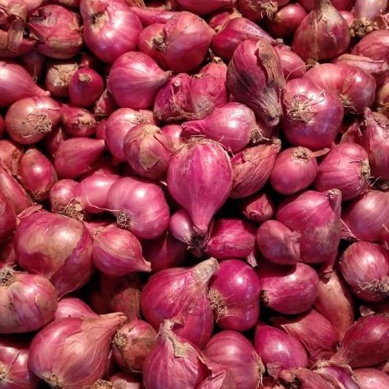 

RVN279 Bawang merah brebes besar2 |