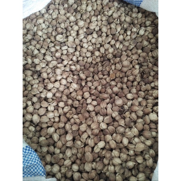 

GROSIR kapulaga kering kapolaga jawa kapol cardamom