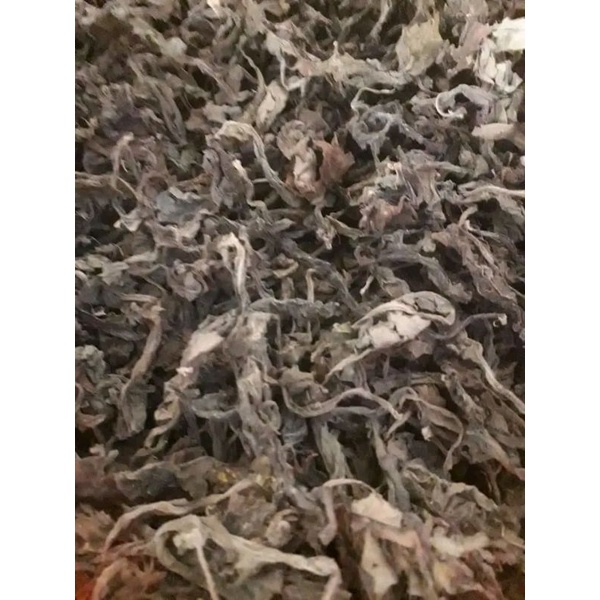 

⭐⭐⭐⭐⭐ daun dewa kering 500 gram