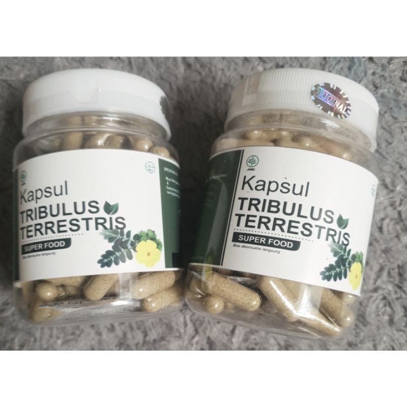 tribulus privasi