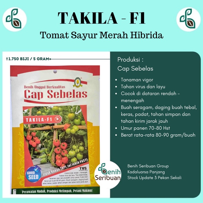 Benih Tomat Sayur Hibrida Varietas Takila F1 Cap Sebelas 1.750 Biji