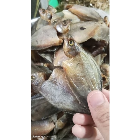 

ikan asin sepat kecil, ikan sepat, super berkualitas