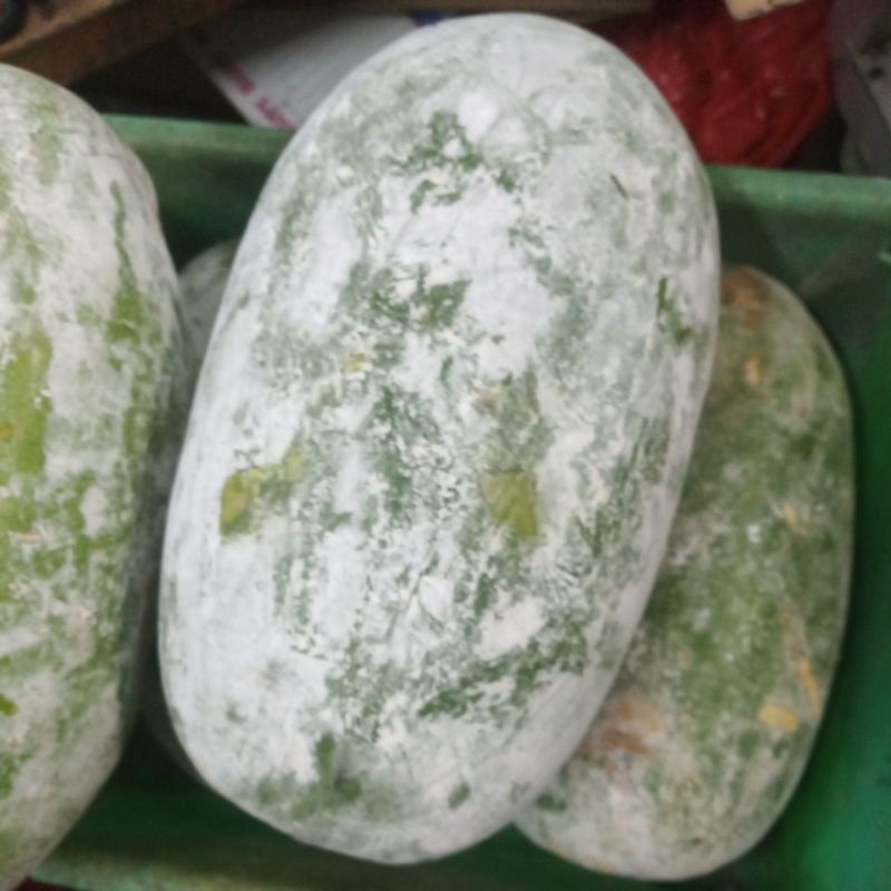 

Buah Bligo/Kundur Per Buah 2-4kg