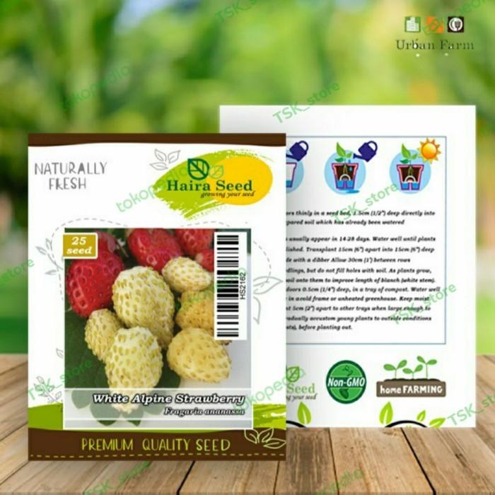 Benih Bibit Buah Strawberry White Alpine / Benih Tanaman Strawberry