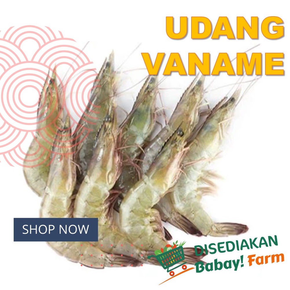 

Udang Vaname 250 500 gr / 1 Kg