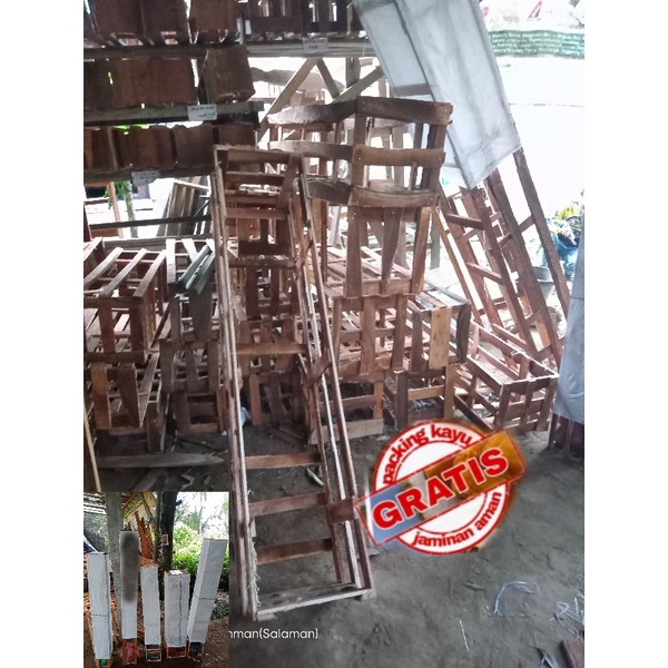 Bibit Durian Super Tembaga kaki Tiga