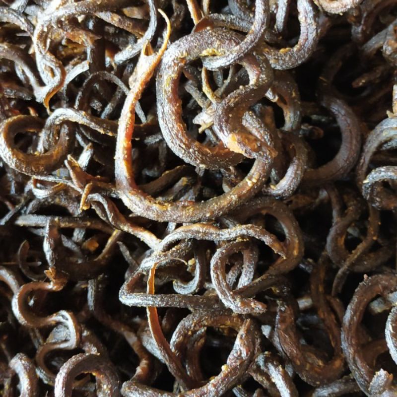 

belut goreng