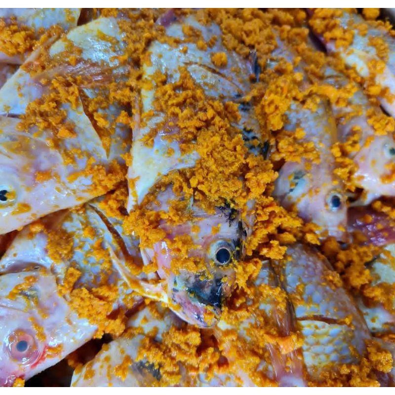 

Grosir Ikan Bumbu Kuning Marinasi Siap Masak