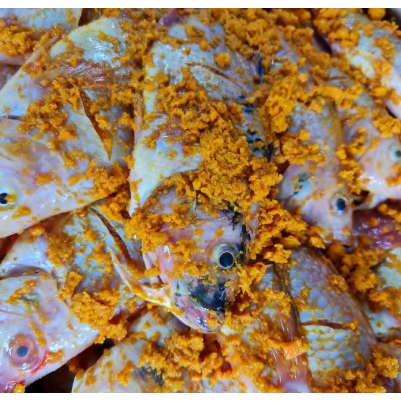 Grosir Ikan Bumbu Kuning Marinasi Siap Masak