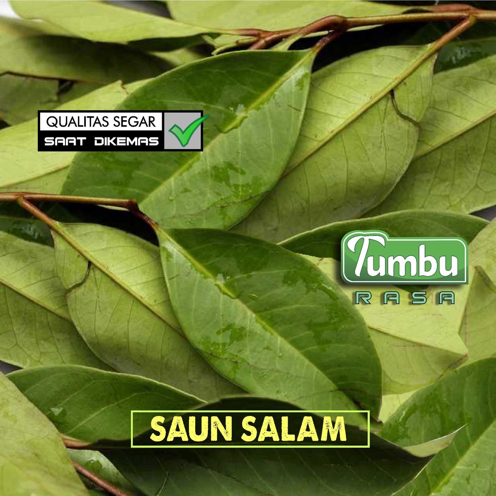 

DAUN SALAM 1/2 KG [100g, 250g] - rempah segar Bay leaf