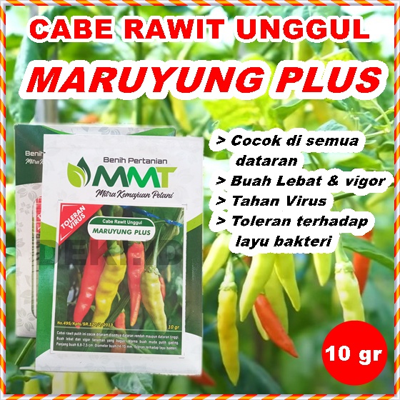 Benih Cabe Rawit Maruyung Plus 10 Gram Bibit Cabai Unggul MMT