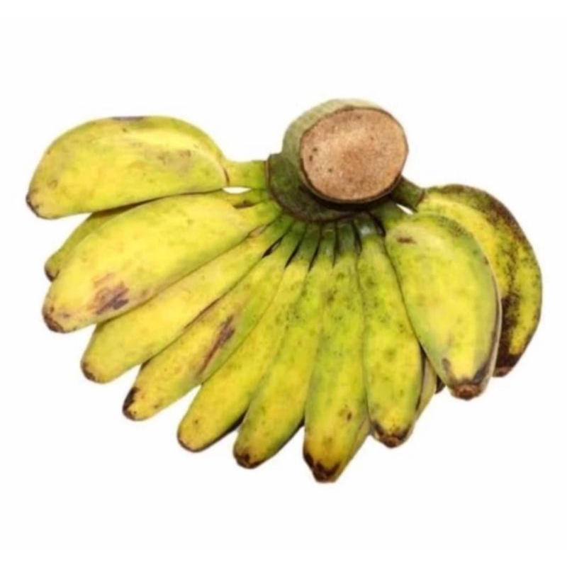 

Pisamg Kepok