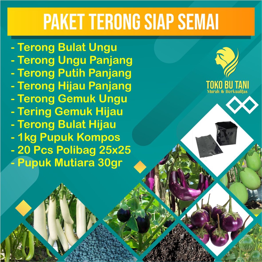 Paket 7 Benih Terong Siap semai Terjangkau