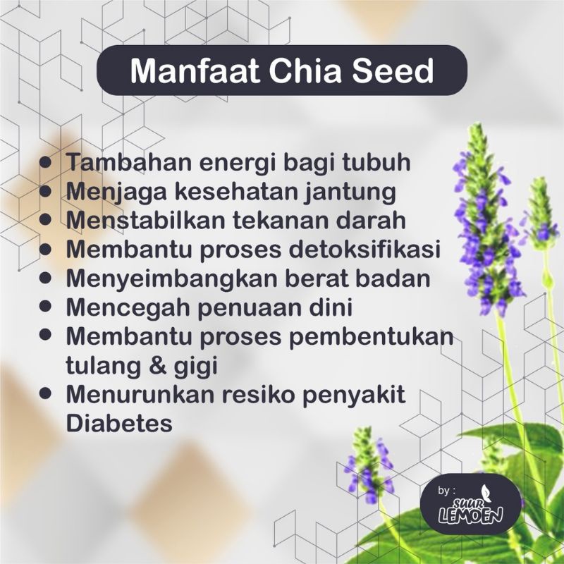 Biji Chia Seed Organik Organic Chia Seeds