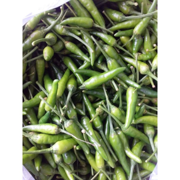 

Cabe Rawit Hijau 1/4kg