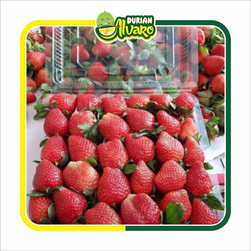 

Strawberry Fresh 800gr