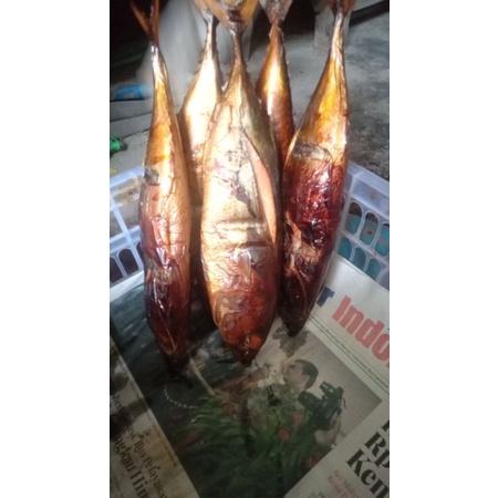 

asapan ikan tongkol cakalang 1kg