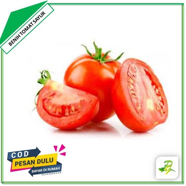 Benih Biji Tomat Sayur Tomat Buah