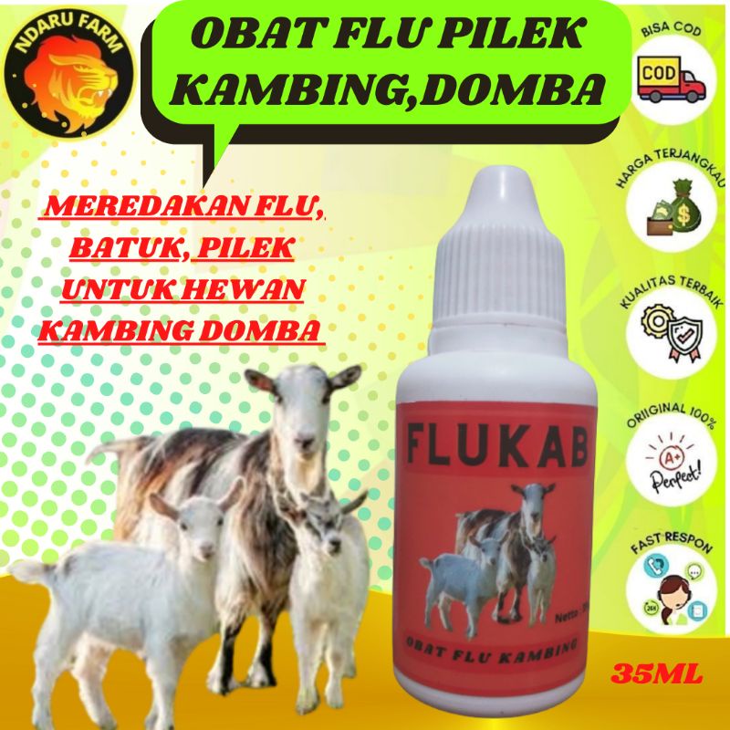 Obat batuk kambing - Obat pilek kambing - Obat Pneumonia Ternak hewan NDARUFRAM